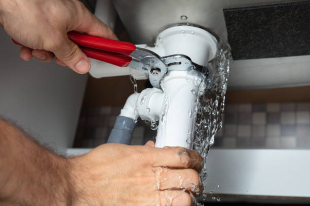 Best Professional water damage repair  in West Milton, PA