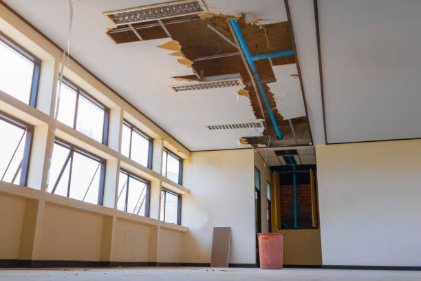 Best Flood damage cleanup  in West Milton, PA