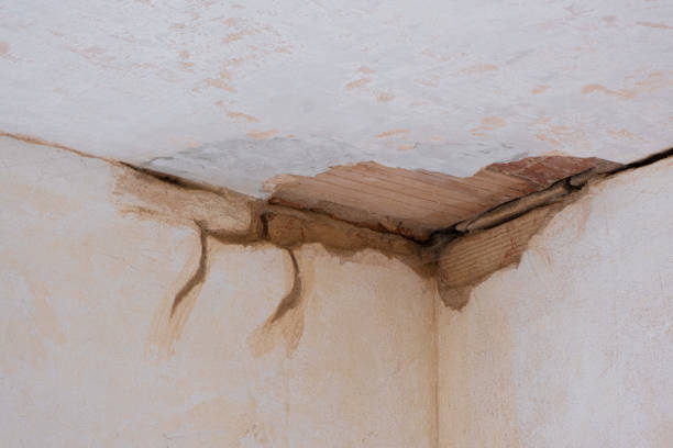 Best Sewage cleanup and water damage restoration  in West Milton, PA