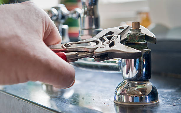 Best Mold removal after water damage  in West Milton, PA